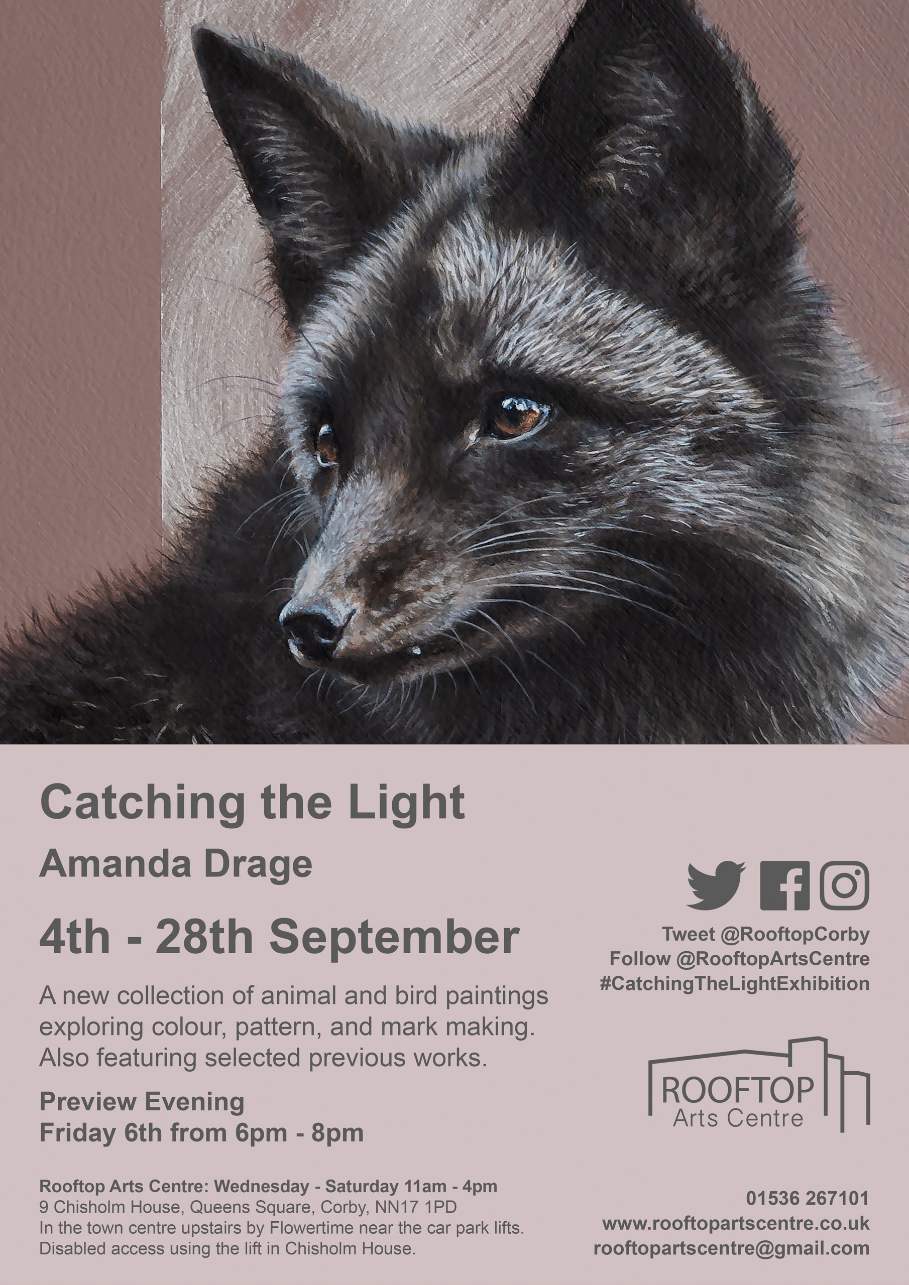 Poster advertising Catching The Light Exhibition by artist Amanda Drage